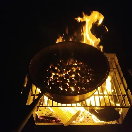 Parzival Relax شقة Zetale